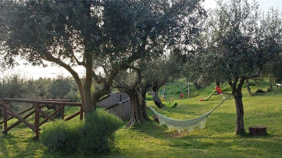 הוילה סן פליצ'יאנו Fattoria Il Poggio מראה חיצוני תמונה